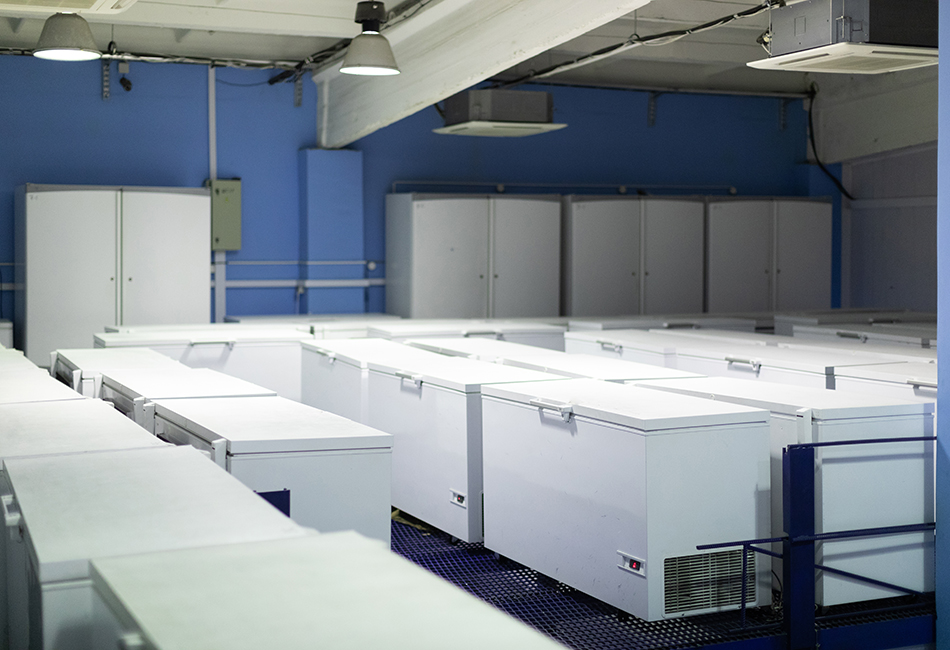 Climaestrat, tus especialistas en la Instalación de Equipos de Refrigeración para todo tipo de Aplicaciones en Cervera del Maestre / Cervera del Maestrat. Almacén con refrigeradores blancos.